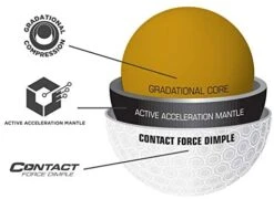 Bridgestone E12 Contact - Sleeve -Wilson Store 41jEWHxMIGL. AC