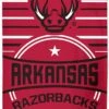 WinCraft Arkansas Razorback Beach Towel 30" X 60" -Wilson Store 71VdAnpOxOL. AC SL1500