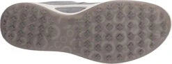 ECCO Ladies Golf Biom Hybrid Golf Shoes -Wilson Store EccoLadiesHydromax SilverMetallic3