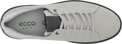 Ecco Men's Tray Golf Shoes -Wilson Store EccoTray ConcreteBlack4