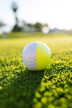 Srixon Z-Star XV Tour Divide Golf Balls 20 Srixon Z-Star XV Tour Divide Golf Balls -Wilson Store Z STARXV8DIVIDE 3